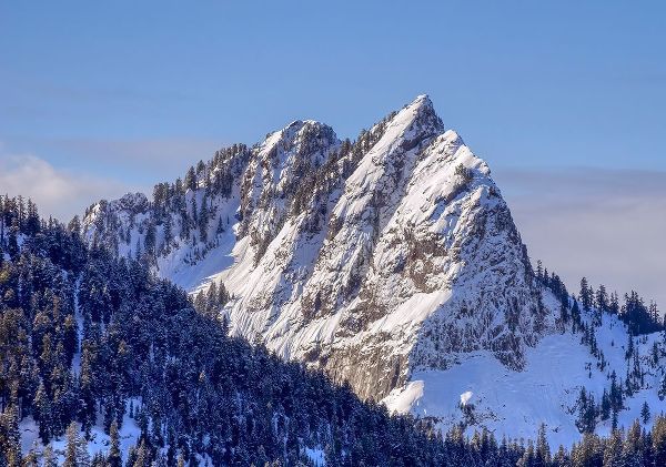 Wild, Jamie and Judy 아티스트의 Washington State-Central Cascades Bessemer Mountain작품입니다.
